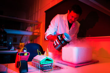 Freezing coral to help regrow the Great Barrier Reef