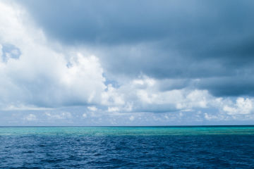 Refreshed Reef 2050 Plan brings urgency to the task