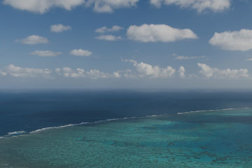 Is it too late to save the Great Barrier Reef?  