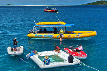Tourism operators key to large-scale coral restoration
