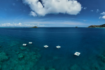 Science and tourism a perfect match for Reef ‘Love Fest’