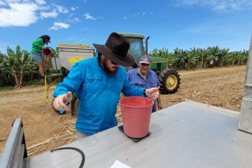 Cassowary Coast Reef Smart Farming