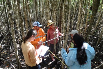 Teachers undertaking training in tidal wetland citizen science monitoring methods at Boyne Island Environment Education Centre. Photo credit: Earthwatch