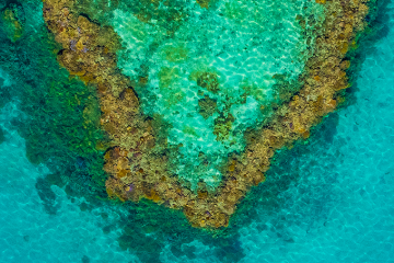 Heart Reef, Whitsundays