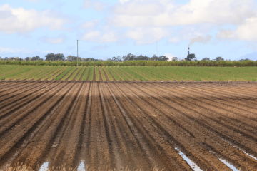 Burdekin Irrigation Project
