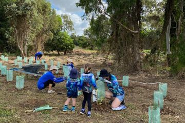 Community wetland restoration at Parker’s Lagoon