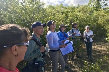 Community MangroveWatch Monitoring to Enhance Tidal Wetlands