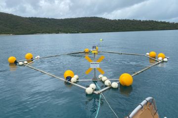 A nature-based solution for a healthier Reef
