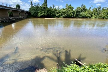 eDNA citizen science health checks in GBR waterways