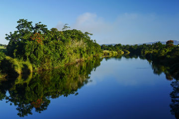 Tully Johnstone Water Quality Program