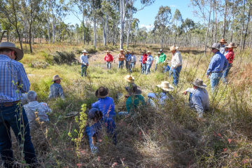 Healthy Landscapes and Productive Farms, a Win for Agriculture and the Reef