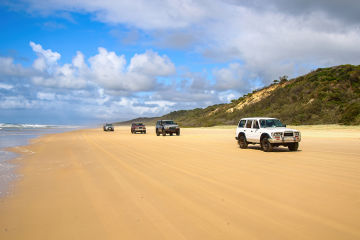 Driving in the right direction for turtle protection