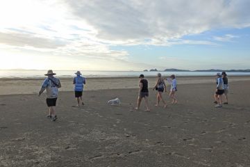 Team Turtle (Fitzroy Basin Association)