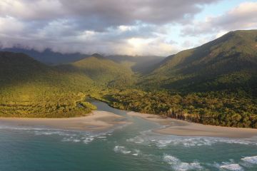 Aerial view of a rainforest meeting the ocean
