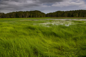 Request for Proposal: Wetland Hydrological and Nutrient Model Development