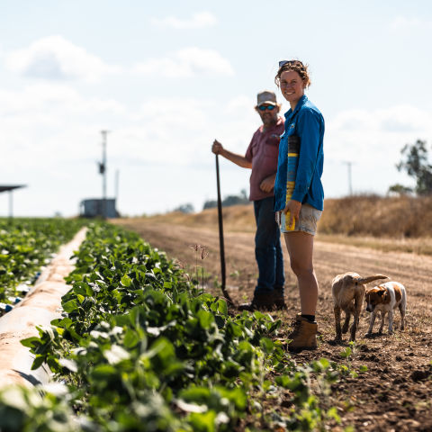 Images captured from various farms involved in the Burdekin Smart Irrigation project.