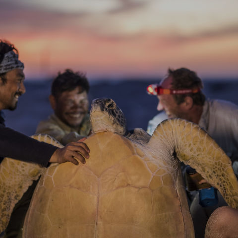 Protecting vulnerable species