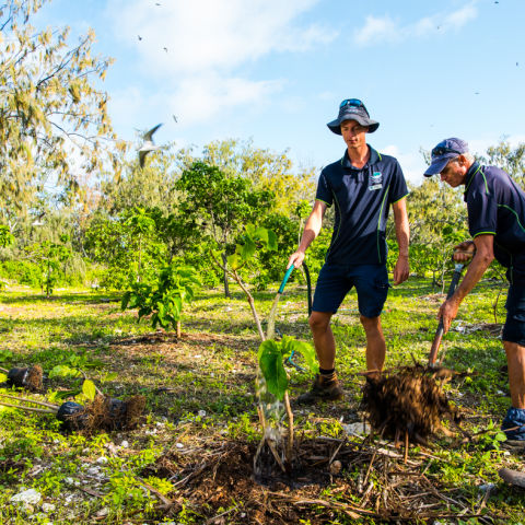 Caring for coasts and islands