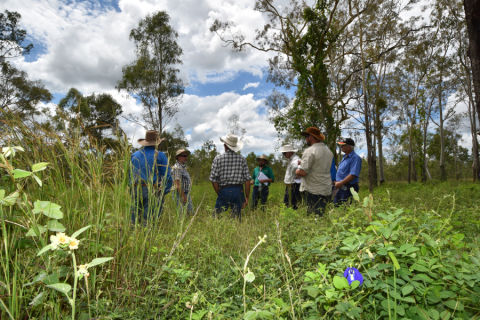 Upper and East Burdekin Water Quality Program