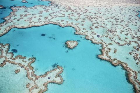 Mackay Whitsunday Isaac Community Action Plan Case Study