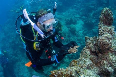 Coral Nurture Program