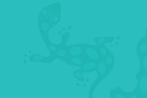 Jabalbina Daintree Coast, Reef and Islands Management Plan
