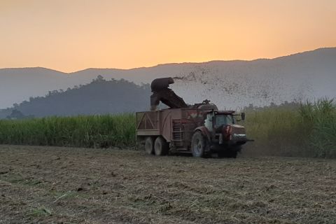 On-ground testing and modelling of the effectiveness of Enhanced Efficiency Fertilisers