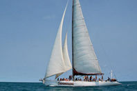 Whitsunday Water Quality Monitoring Blue Print for Tourism Operators