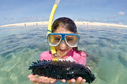Community Reef Protection