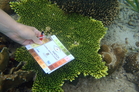 Educating communities to help ACT and PROTECT our GBR