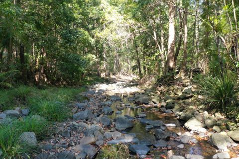 Upper Herbert Water Quality Program