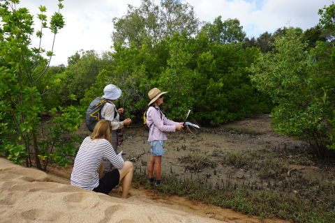 Yunbenun-Magnetic Island Community Action Plan