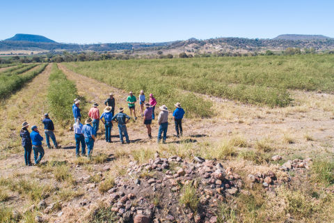 Fitzroy Soil Conservation on Cropping Lands