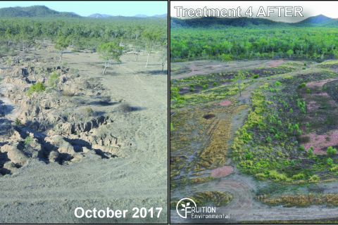 Understanding nutrient export from remediated gully systems
