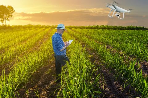 LAND – a Local Area Nutrient Datahub