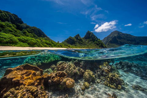 Polynesia
