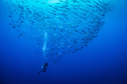 Micronesia
