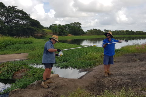 Citizen science fish monitoring innovations