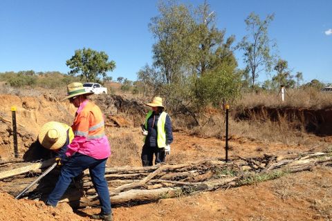 Streambank and gully erosion solutions for the Fitzroy Catchment