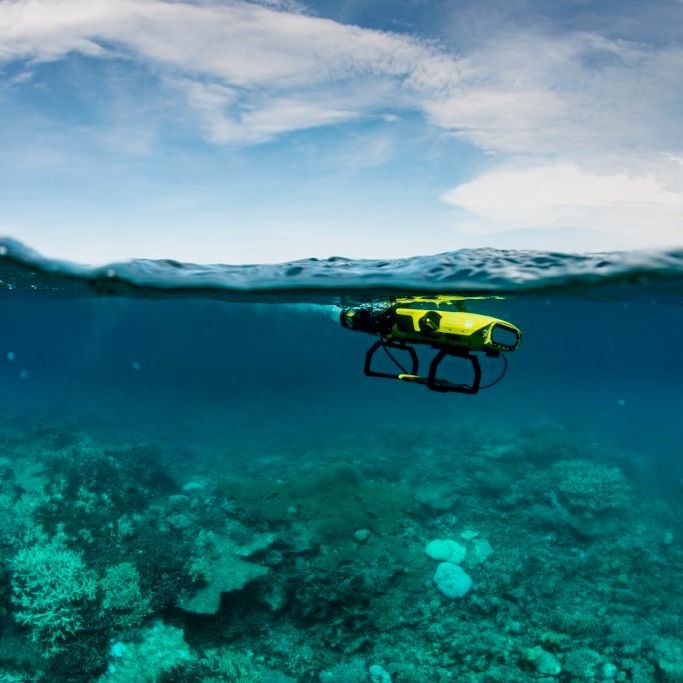 Coral babies dispersed onto damaged Reef