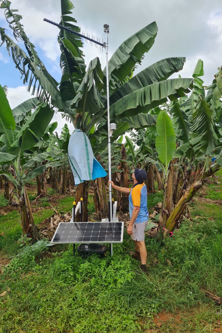 JCU TropWATER in-paddock and in-stream water quality monitoring sites provided a nitrogen story of paddock scale runoff events. Images CSIRO/JCU