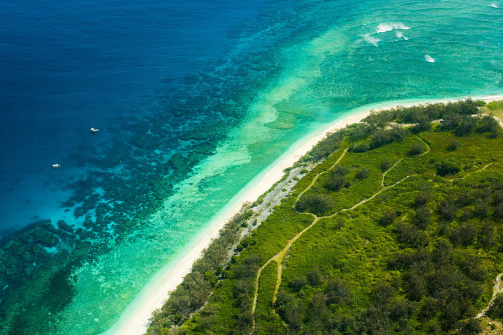 Bird's eye view of Lady Elliot Island