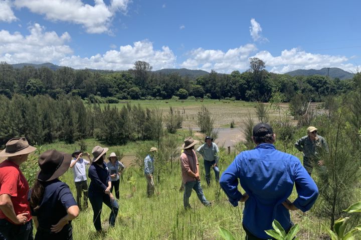 Streambank stabilisation in the Mary River Catchment.