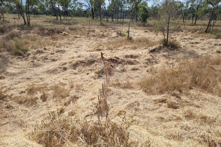 AFTER June 2023. Credit: NQ Dry Tropics