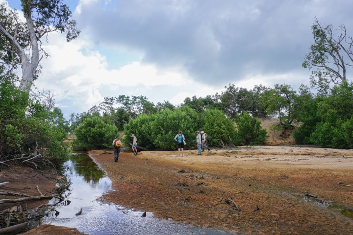 Scoping out a spot to lay transect lines.