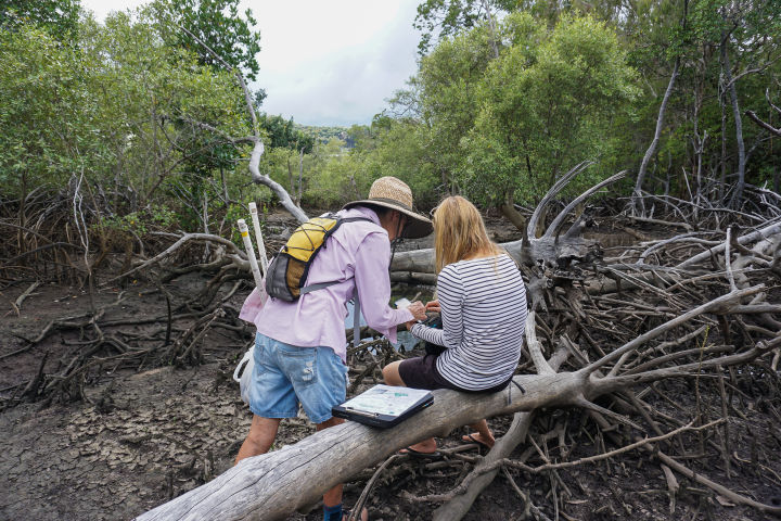 Google Maps helps with the transect direction.