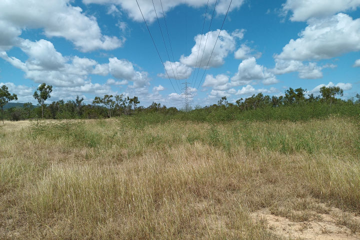 Central gully network post works and wet season. Credit: Greening Australia