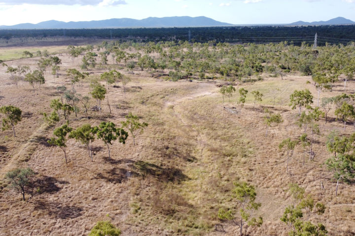 Southern gully network post works and wet season. Credit: Greening Australia