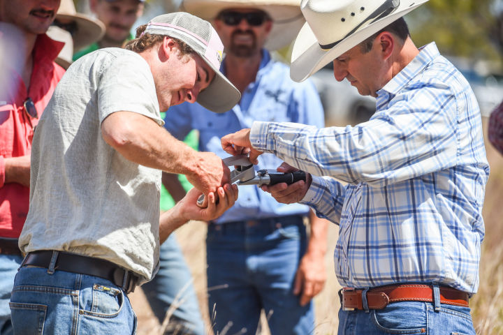 Eric LeFeuvre and Alejandro Carrillo are using a brix refractometer to measure the approximation of sugar content of a sample (plant). Credit: NQ Dry Tropics