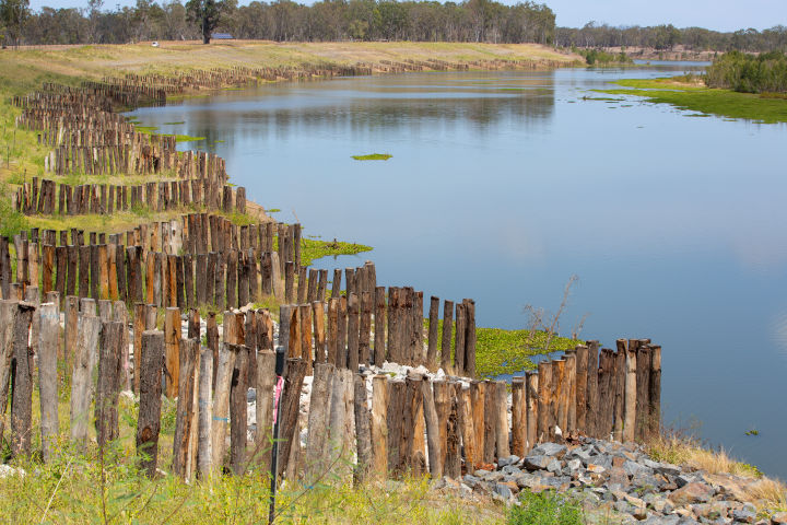 Riverbank restoration. Credit: Fitzroy Basin Association